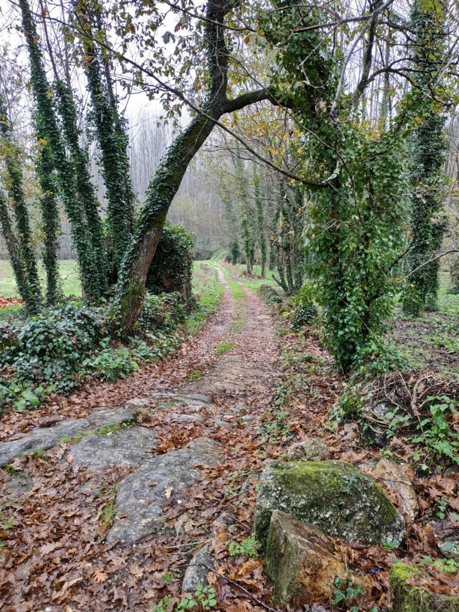 Quinta Do Paul De Baixo Hotel Guimarães Eksteriør billede